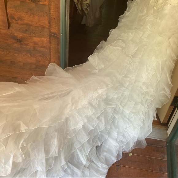 David’s Bridal Wedding Dress - Picture 9 of 12